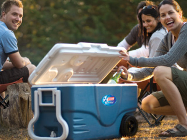 11 Best Electric Cool Boxes For Camping 