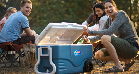 best electric cooler box for camping